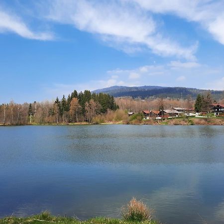 Fewo Bayerischer Wald Im Lamer Winkel Arrach Zewnętrze zdjęcie