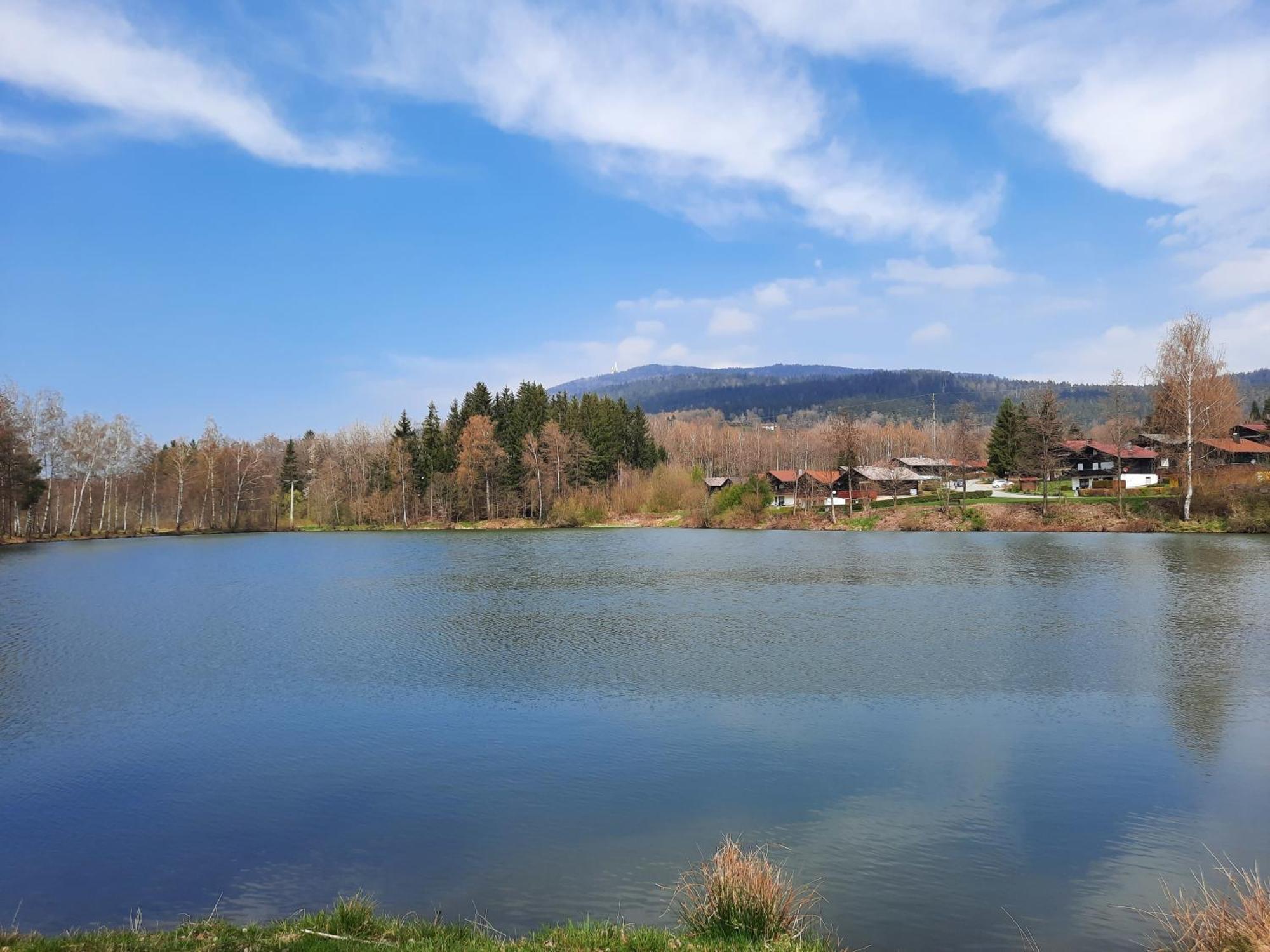 Fewo Bayerischer Wald Im Lamer Winkel Arrach Zewnętrze zdjęcie